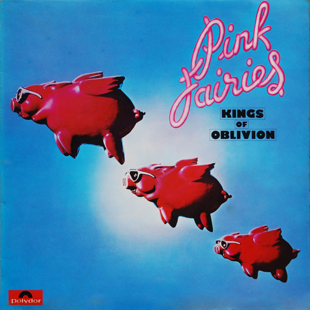 Image result for pink fairies